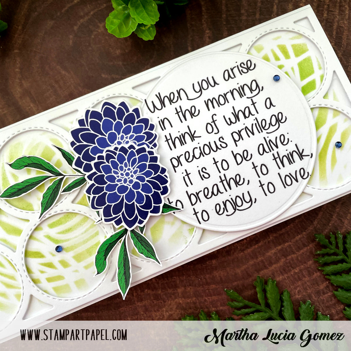 Stitched Circle Plate Background Slimline Dies