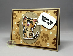 Just Kitten Around Clear Stamps - Joy Clair - 9