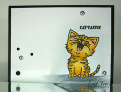 Just Kitten Around Clear Stamps - Joy Clair - 15